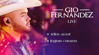 Video thumbnail of "GIO FERNÁNDEZ LIVE "Adiós Amor, Ingrato Corazón""