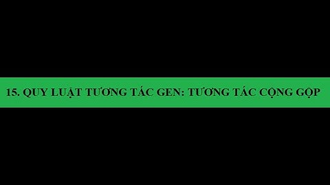 Chịu tác động cộng gộp là như thế nào năm 2024