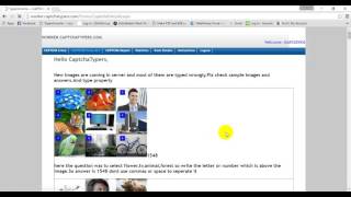 how can you work with Captchatypers server screenshot 5