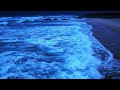NIGHT SCENE ON THE COAST 🌊😴  Relaxing Ocean Sound At Night