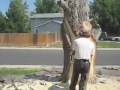 Tree artist how to use old trees