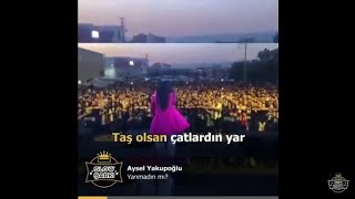 Aysel Yakupoğlu - Yanmadın Mı ? Resimi