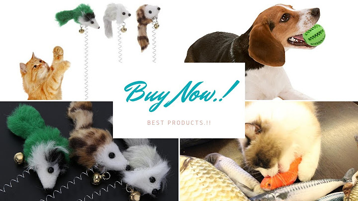 Top 10 Amazing Pet Toys & Gadgets You | Must See in 2019