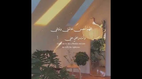 💫اجمل تلاوة رائعة جميلة⚘#قران_كريم حالات واتساب مقاطع دينية قصيرة🍂