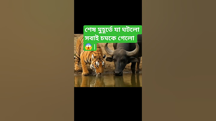 শেষ মুহূর্তে যা ঘটলো সবাই চমকে গেলো 😱 | Unbelievable Ending Twist!#shortsfeed #foryou #ai