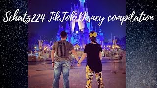 Schatz224 TikTok Disney Adventure Compilation!!