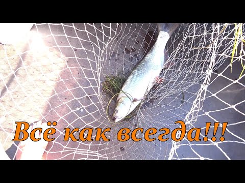 Video: Kje je v računovodskem izkazu zadržani dobiček?