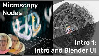 Showing microscopy in Blender with Microscopy Nodes!