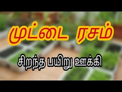 பயிர் ஊக்கியான முட்டை ரசம் தயாரிப்பது எப்படி? இயற்கை உரங்கள் தயாரிக்கும் முறை | muttai rasam