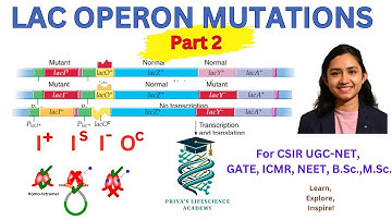 Lac operon mutations explained | Cis-trans dominant mutation | Part 2 |