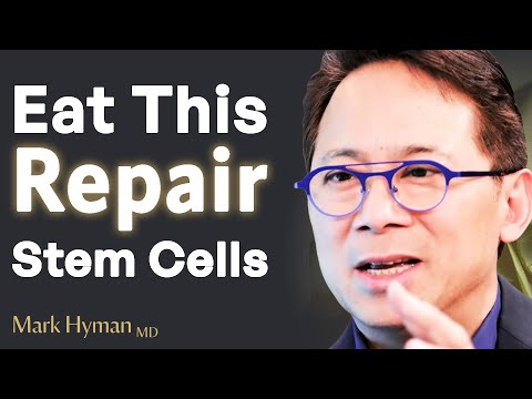 Video: Could stem cells regrow libs?