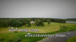картинка: 