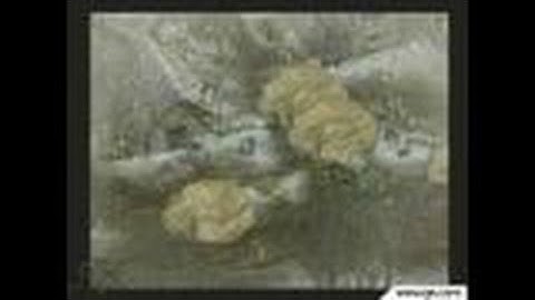 Commandos 3: Destination Berlin PC Games Gameplay -