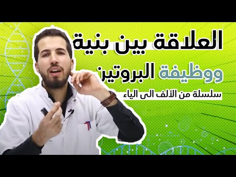 الوحدة 02 العلاقة بين بنية ووظيفة البروتين من الألف إلى الياء