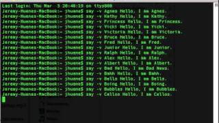 Mac Os X Speech Synthesis Test