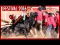 Toiro passa o forcão de Aldeia do Bispo no XXXI Festival "Ó Forcão Rapazes"