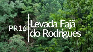 Madeira Hikes Levada Fajã Do Rodrigues Pr16
