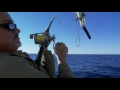 'Sundowners' the Hubbard's Marina pilot film | Deep Sea fishing | http://www.HubbardsMarina.com