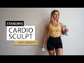 30 MIN STANDING TOTAL BODY CARDIO FAT BURN WORKOUT-