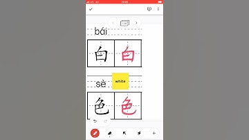 Chinese Characters 白色 Chinese #Character #how towrite #write #Chinese #HSK #trainchinese #stroke