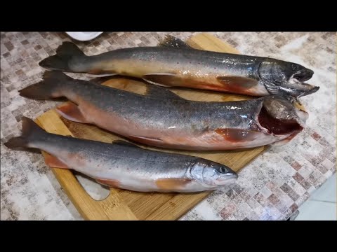 Рыбалка на реке Тымь