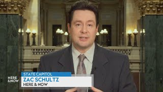 Zac Schultz on redistricting maps, incumbents and elections | Here & Now