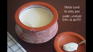How to Season a Clay Pot and How to Set Perfect Curd/Yogurt in the Clay Pot