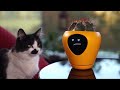 Lua, the smart planter turning plants into pets!