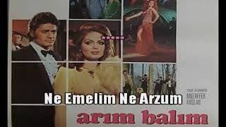 Arim Balim Peteği̇m Türk Sanat Müzi̇ği̇