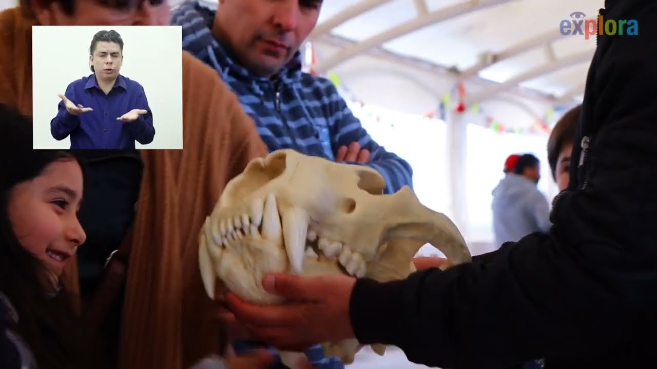 Resumen 4 años PAR Explora Los Lagos