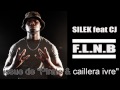 Silek  piraterime  feat cj  flnb  instru by diggz prod 