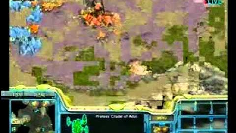 MST Group 1: Jangbi vs Hoejja p1