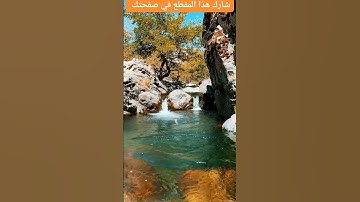القران الكريم راحة نفسية 30 ثانية تلاوة #القران_الكريم #تلاوة #سورة #quran #الطبيعة #اكسبلور #مشاركة