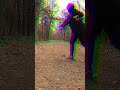 disc golf is the greatest sport in the world #discgolf