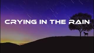 The Everly Brothers - Crying In The Rain ( Lyrics )