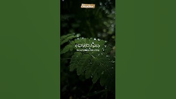 (وَعَسَى أَنْ تَكْرَهُوا شَيْئًا وَهُوَ خَيْرٌ لَكُمْ...) تلاوة طيبة للقارئ محمد هشام