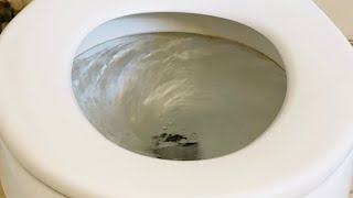 1985-1987 Kohler Wellworth Toilet Flush | Siphon Jet is Clogged 🚽