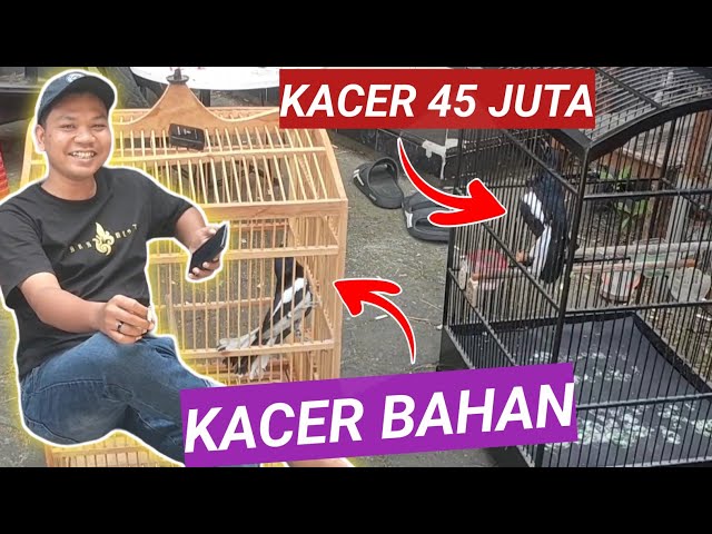 KACER INI METABOLISME TUBUH LAMBAT KACER BAHAN LANGSUNG MELUNCUR class=