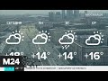 Синоптики рассказали о погоде в Москве в ближайшие дни - Москва 24