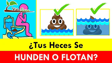 ¿Las cacas se hunden o flotan?