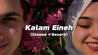 Sherine - Kalam Eineh | شيرين - كلام عينيه ( Slowed + Reverb ) Resimi