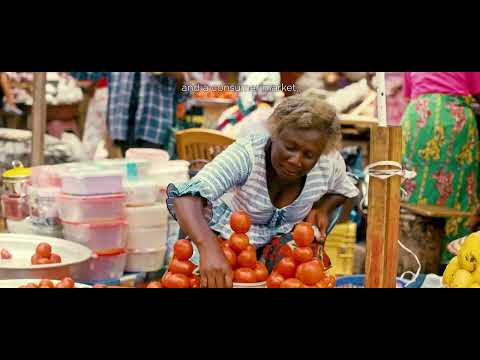 Glimpse into Africa’s Economy and Market Outlook | Africa Day 2025