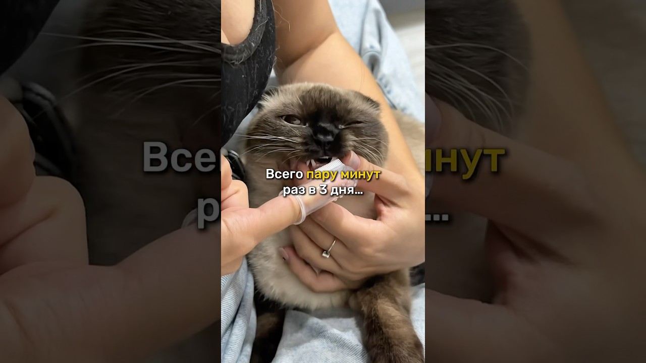 🦷 Зубная паста-гель на Вб: 