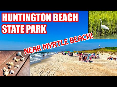 Видео: Huntington Beach State Park: Пълното ръководство