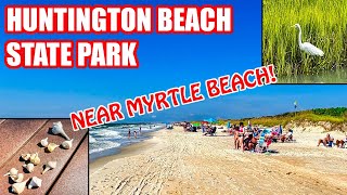 Huntington Beach State Park Tour! | Things to Do Near Myrtle Beach