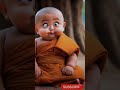 Little monk so cute littlebabybum sortyoutubsortcartoonviralsoert