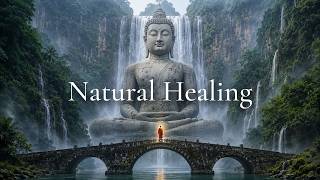 Peaceful Forest Meditation 🌲 Nature Sounds for Inner Peace & Relaxation