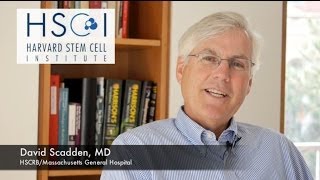 Celebrity Meet HSCI Co-Director David Scadden, MD Net Worth
