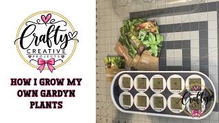 How I Grow My Own Gardyn Studio Plants From Seeds