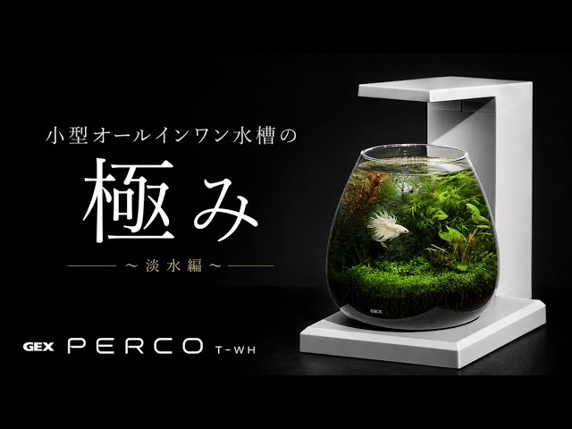 The Secrets to a Small, All-in-One Aquarium: Freshwater Edition